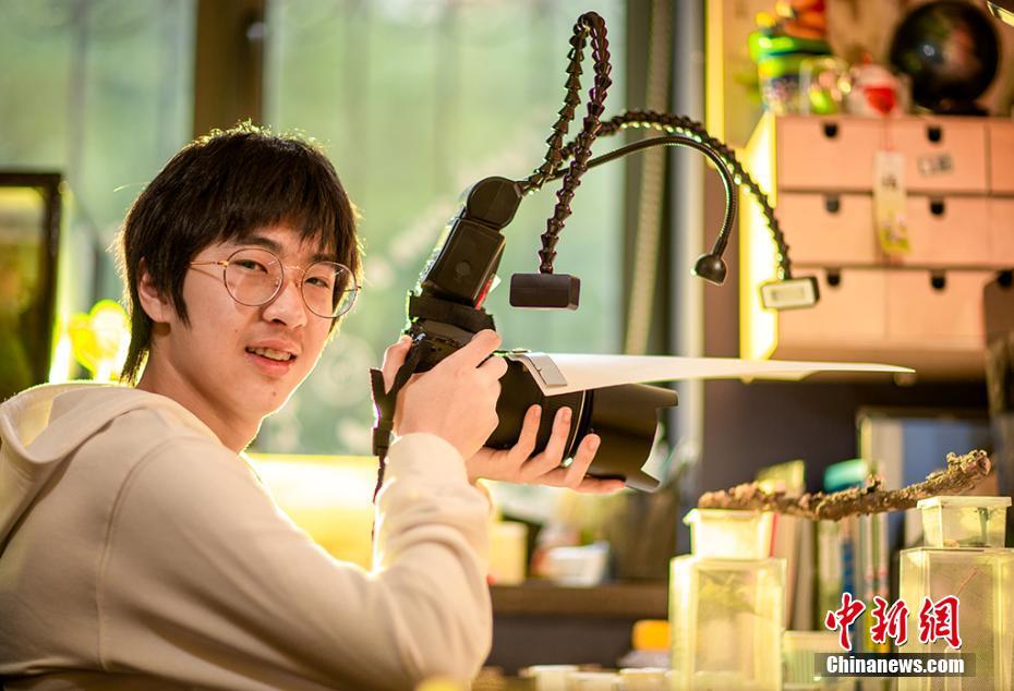 傳承(慢穿、無(wú)限流)