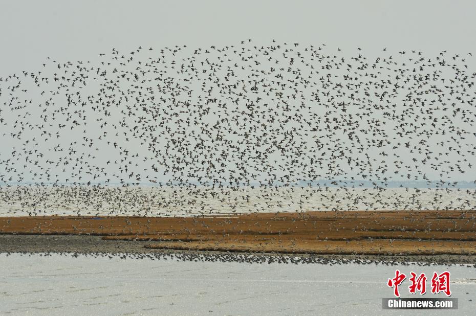 指痕by阿司匹林筆趣閣免費(fèi)閱讀
