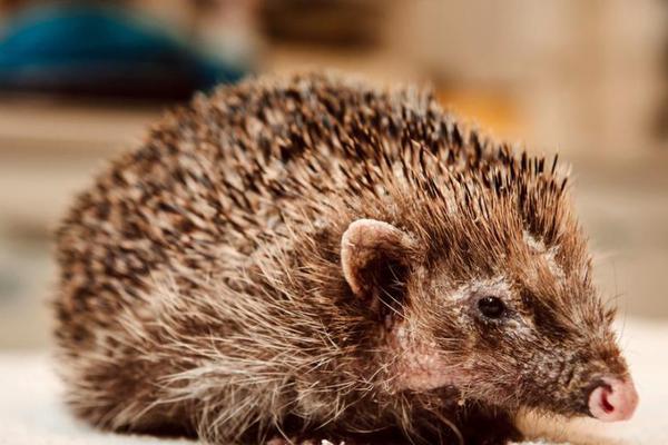 爭霸天下筆趣閣的小說