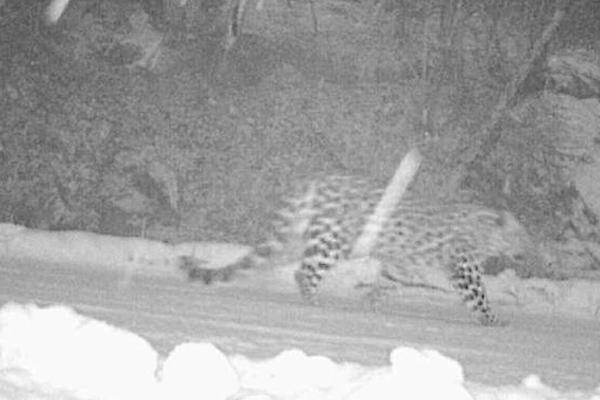 自食惡果by阿兔全文免費閱讀愛發(fā)電