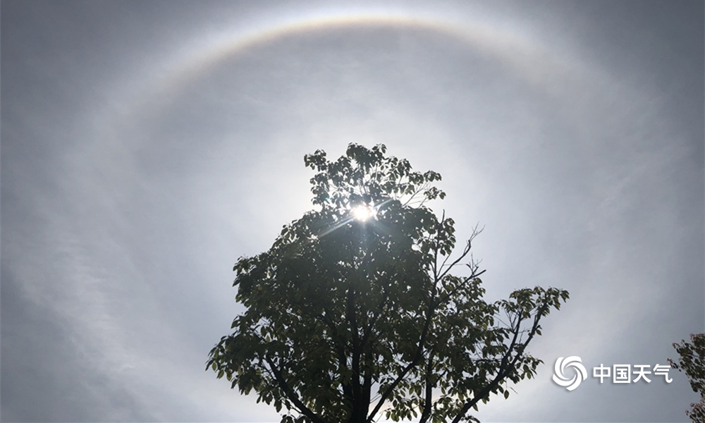 《窄紅》by童子