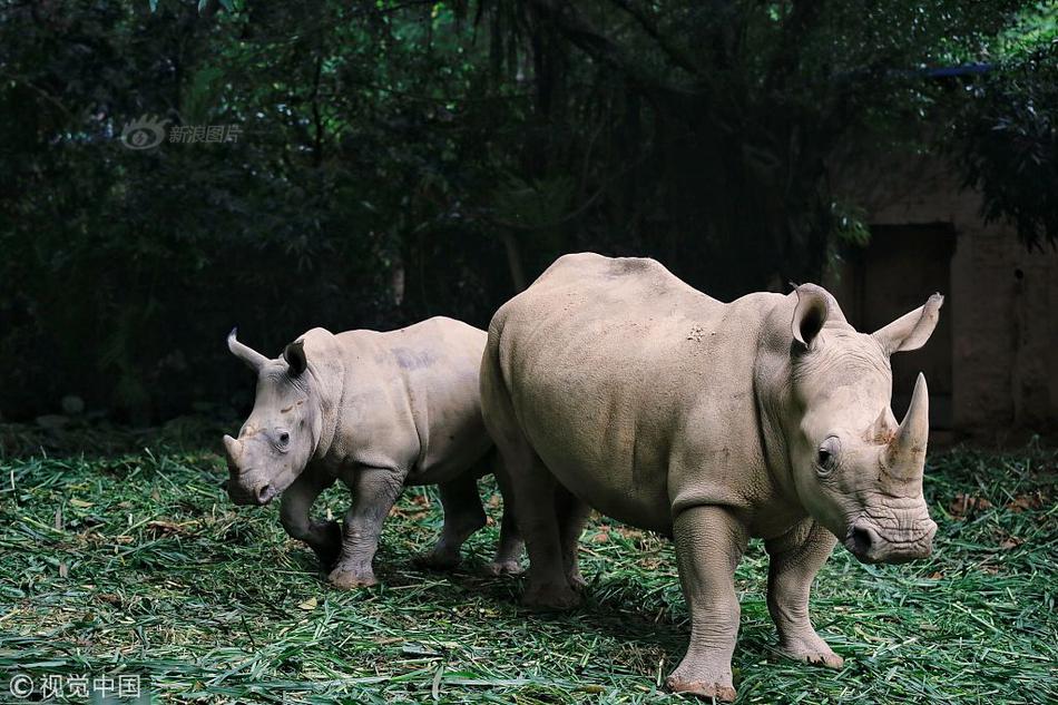 御獸飛升無彈窗筆趣閣