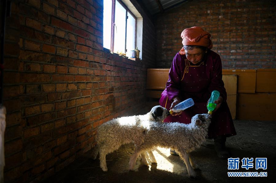 春鶯囀1v2po筆趣閣