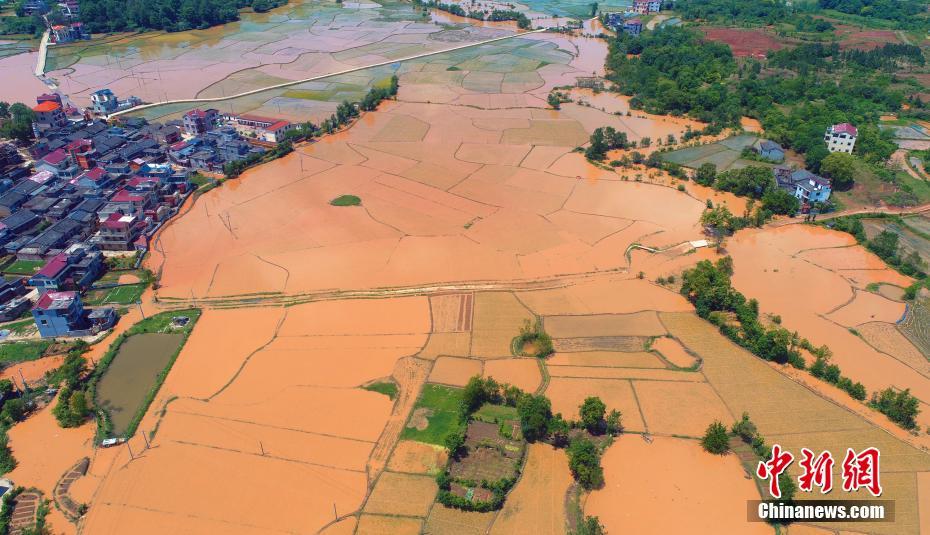 大奉打更人txt最新