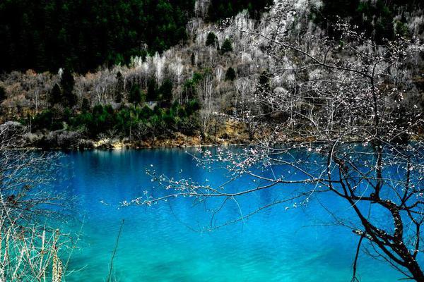 《不正經(jīng)聯(lián)姻》by明日復(fù)明日