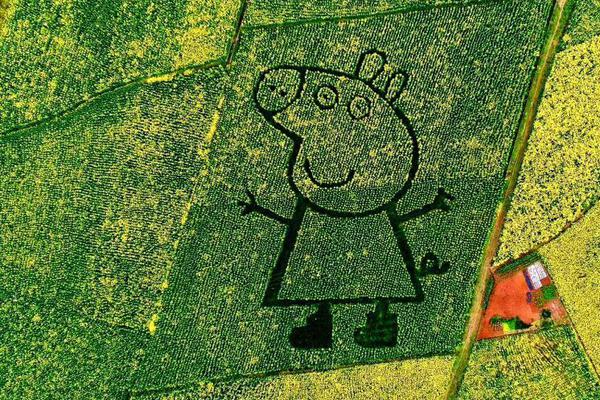 寵妻之路by笑佳人txt