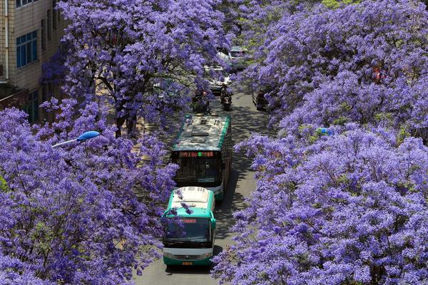 病美人替身不干了 by云初棠