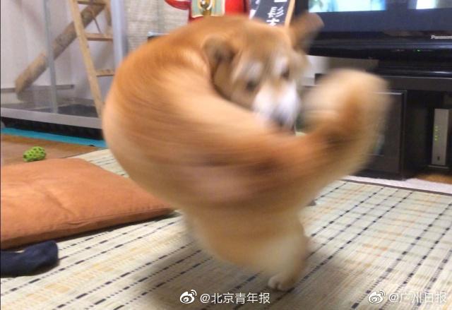 電影《體熱》在線觀看