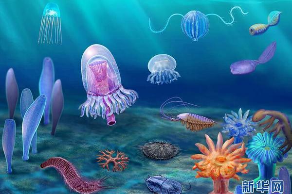 二次回廊(1v2)筆趣閣林清云