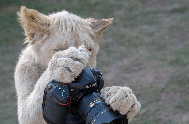 1v1大叔甜寵小說