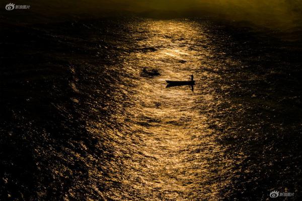 對待臥底的正確方式bynini小說免費閱讀