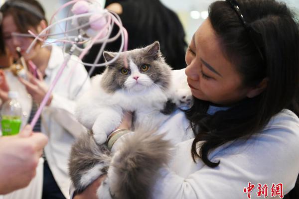 七個哥一個妹妹npc筆趣閣