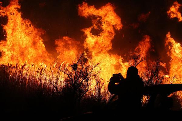 重生之萬界至尊蕭動塵筆趣閣在線閱讀