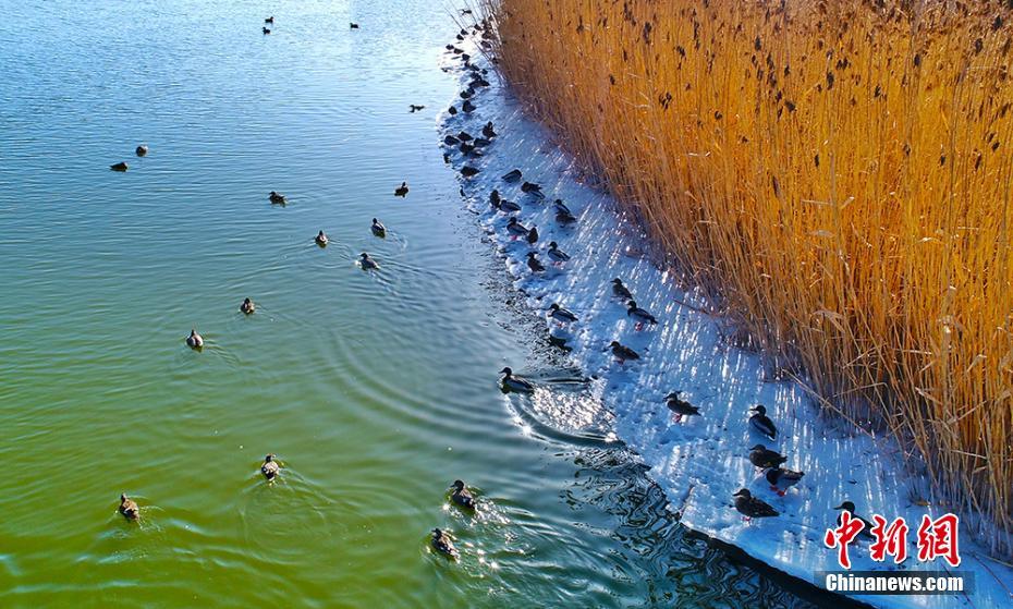 《戀舊》by晚春寒