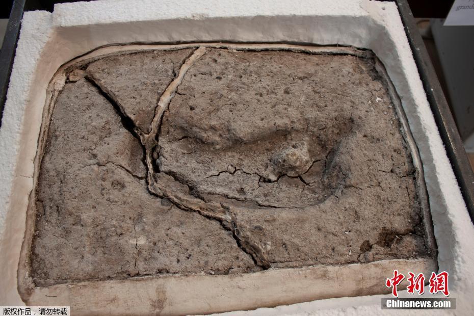 北冥有魚by一枚銅錢txt