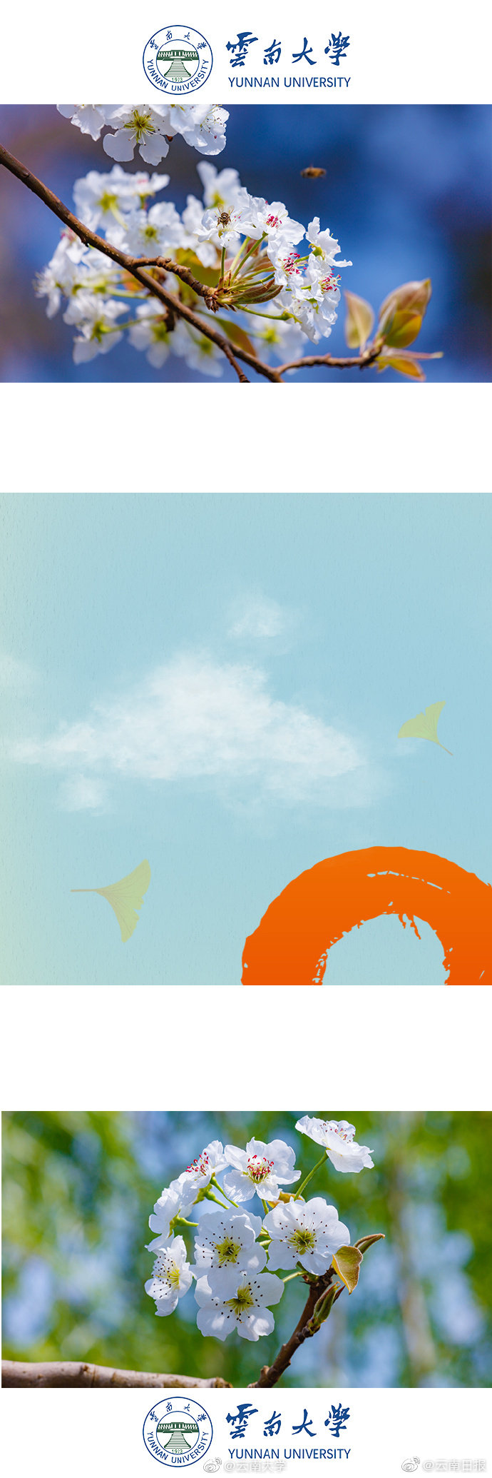 《似是故人來(lái)》by 漫漫何其多