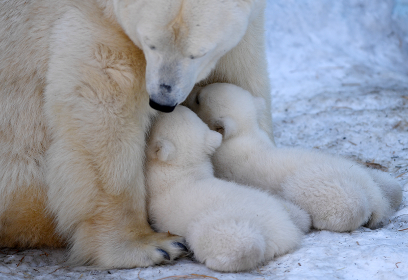 遮天筆趣閣 全本小說