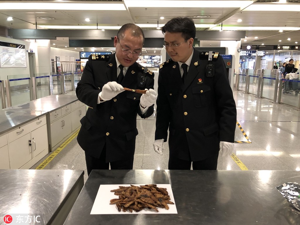 并軌葡芙小說TXT下載