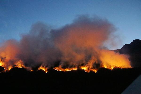 《你可以養(yǎng)我嗎》 作者:川瀾 現(xiàn)言、甜、潔、完結(jié)(he)