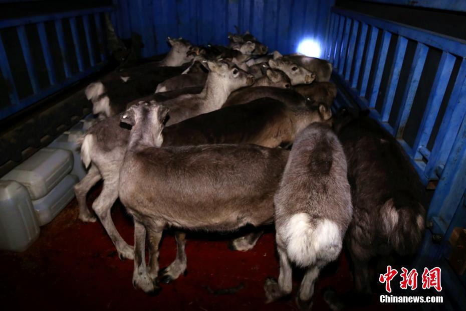 一虐到底by音蝸