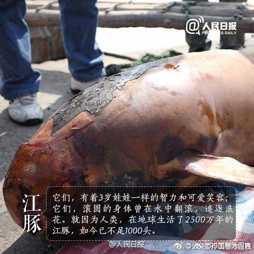 最佳契合txt百度網(wǎng)盤