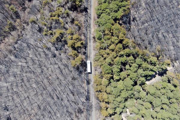 男主為解毒被迫出軌小說