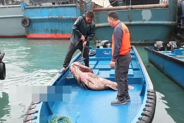 重生娛樂之巔TXT下載