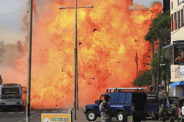 鳳凰骨txt百度網(wǎng)盤