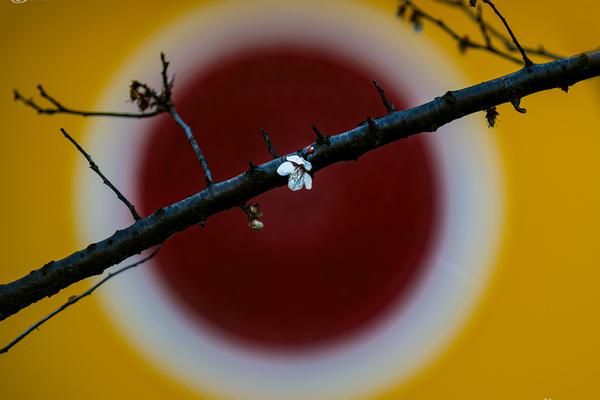《古董鑒定商》by墨荊