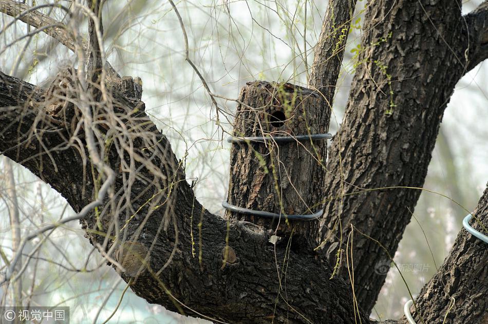 女主未成年被高官?gòu)?qiáng)取豪奪的小說