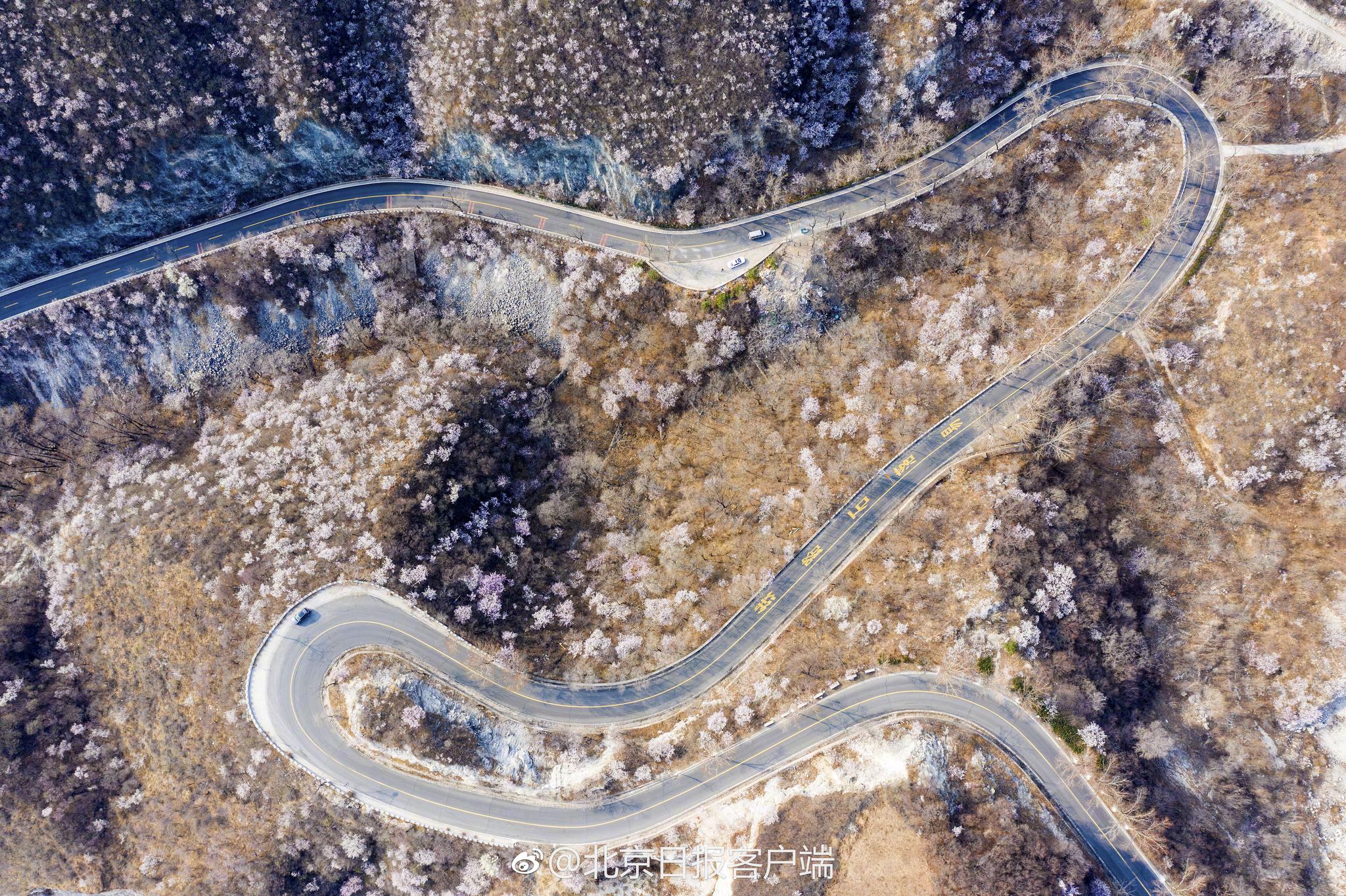 賭by木口銀小說番外