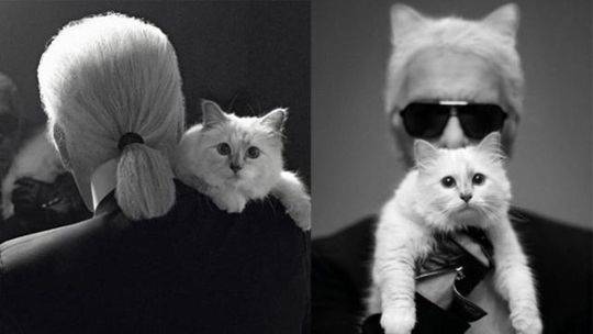 一個(gè)婚禮一個(gè)葬禮byranana