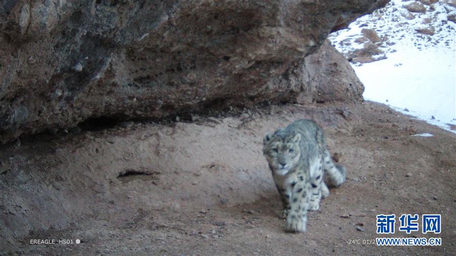 御宅屋(御書屋)自由小說閱讀網(wǎng)無彈窗