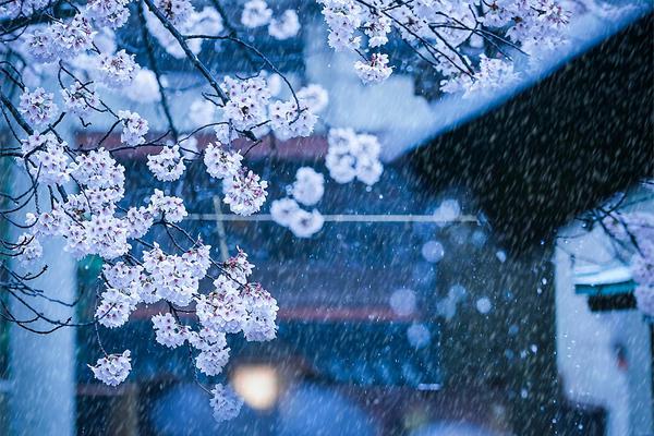 定格h(校園1ⅴ1)