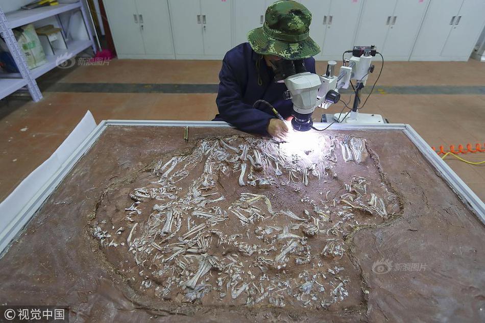 大周皇族txt完整版