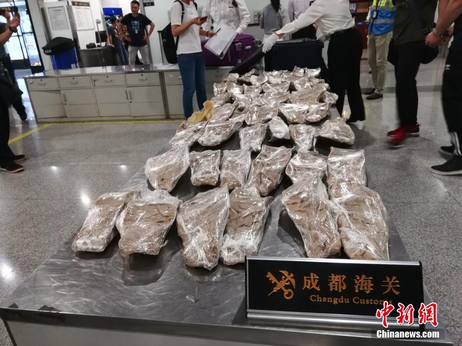 窄紅by折一枚針txt百度云盤