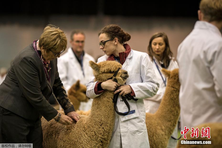 快穿之爐鼎系統(tǒng)np