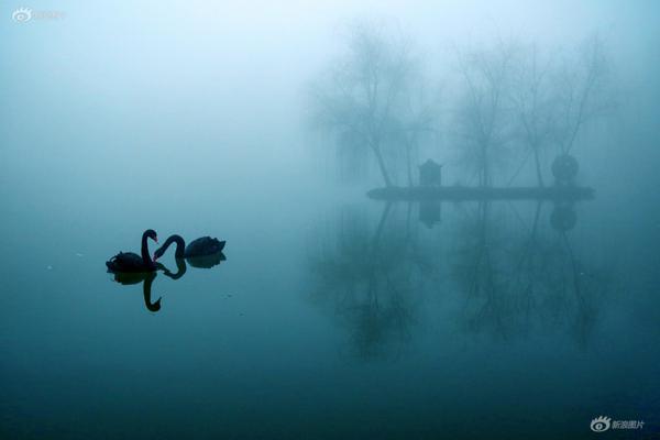 鳶尾花父女小說筆趣閣免費(fèi)閱讀