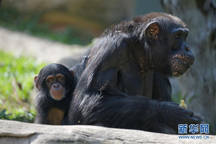 18緊致世界by魏承澤筆趣閣免費(fèi)閱讀