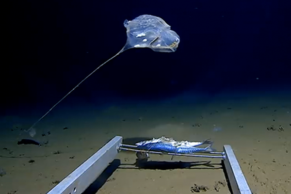 《心理學與生活》TXT